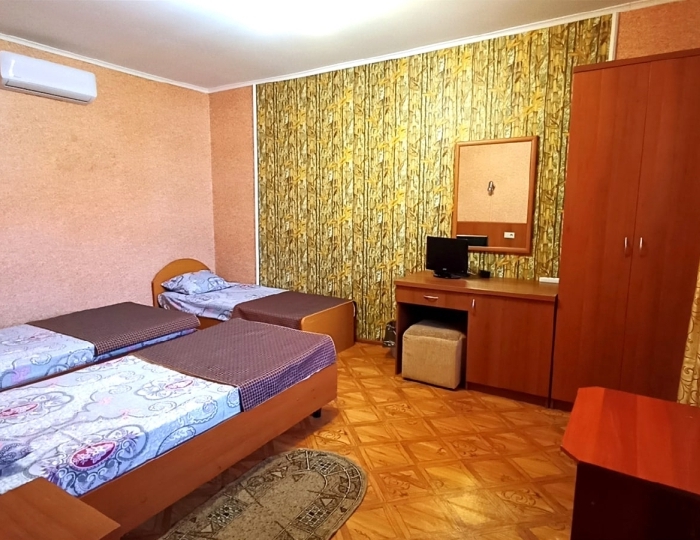 Стандартный 3-местный 1-комнатный - Гостиница «Абхазский дворик» Цандрипш
