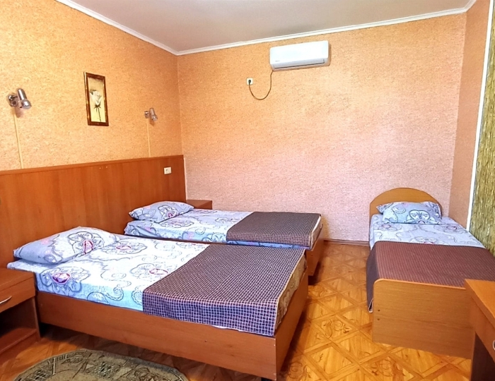 Стандартный 3-местный 1-комнатный - Гостиница «Абхазский дворик» Цандрипш